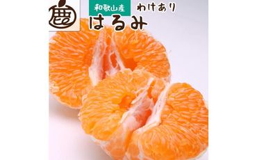 ＜2月より発送＞家庭用 はるみ4kg+120g（傷み補償分）【デコポンの姉妹品種・新食感春みかん】【光センサー選別】【わけあり・訳あり】 303446_BB010