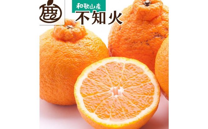 ＜2月より発送＞厳選 不知火3kg+90g（傷み補償分）【デコポンと同品種・人気の春みかん】【光センサー選別】 303446_BB011