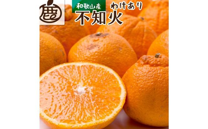 ＜2月より発送＞家庭用 不知火5kg+150g（傷み補償分）【デコポンと同品種・人気の春みかん】【わけあり・訳あり】【光センサー選別】 303446_BB014