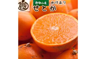 ＜2月より発送＞家庭用 せとか2kg+60g（傷み補償分）【柑橘・春みかんの王様】【わけあり・訳あり】【光センサー選別】 303446_BB016