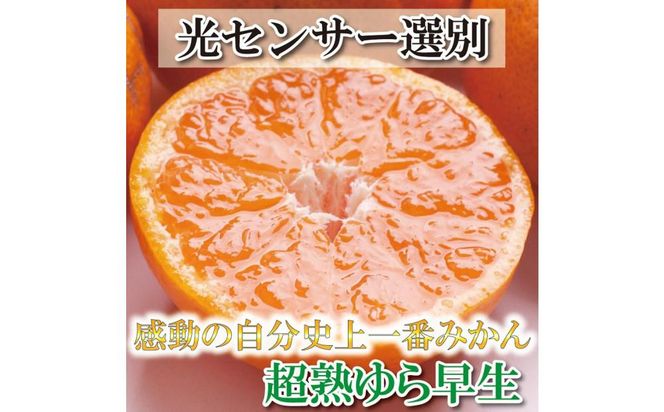 厳選 超熟有田みかん 3kg+90g（傷み補償分）＜2024年11月より発送＞ 303446_BB90003