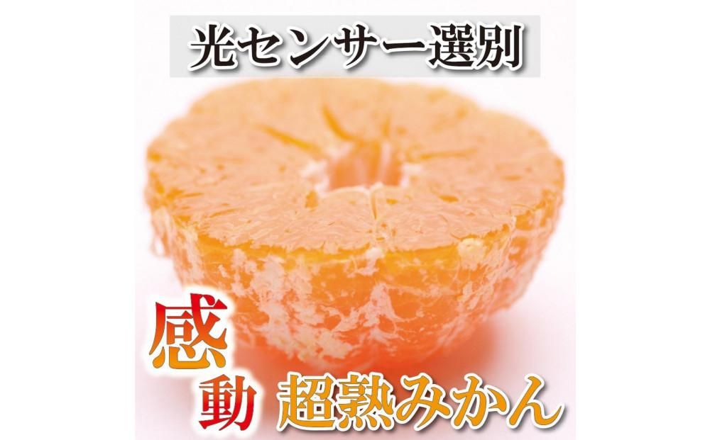 家庭用 超熟有田 みかん4kg+120g(傷み補償分)訳あり[2024年11月より発送] 303446_BB90004