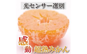 家庭用　超熟有田 みかん4kg+120g（傷み補償分）訳あり＜2024年11月より発送＞ 303446_BB90004