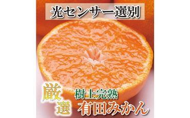 厳選　完熟有田みかん 4kg+120g（傷み補償分）＜2024年11月より発送＞ 303446_BB90005