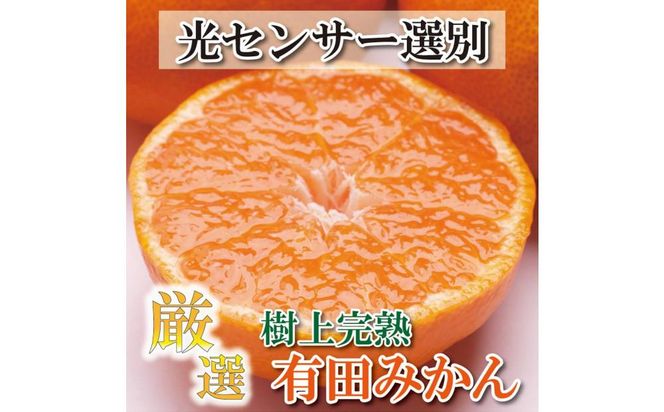 厳選　完熟有田みかん 4kg+120g（傷み補償分）＜2024年11月より発送＞ 303446_BB90005