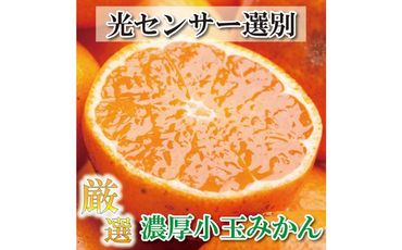 厳選 小玉な有田みかん 3.5kg+105g（傷み補償分）＜2024年11月より発送＞ 303446_BB90008