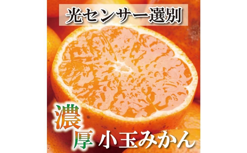 家庭用 小玉な有田みかん 4.5kg+135g(傷み補償分)訳あり[2024年11月より発送] 303446_BB90009