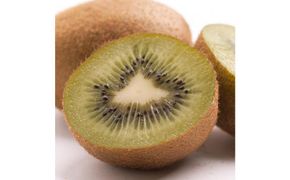 ［先行予約］厳選 キウイ5kg+250g（傷み補償分）【扁平果】［IKE108］ 303446_BB90015