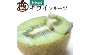 ［先行予約］家庭用 キウイ5kg+250g（傷み補償分）【わけあり・訳あり・扁平果】［IKE104］ 303446_BB90020
