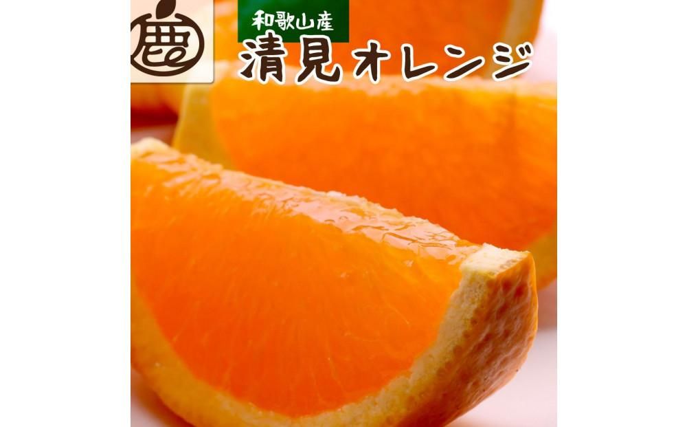 [2月より発送]厳選 清見オレンジ3.5kg+105g(傷み補償分)[光センサー食頃出荷][樹上完熟きよみオレンジ] 303446_BB90021