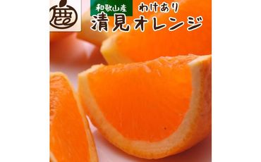 ＜2月より発送＞家庭用 清見オレンジ7kg+210g（傷み補償分）【光センサー食頃出荷】【わけあり・訳あり】 303446_BB90022