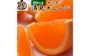 ＜2月より発送＞家庭用 清見オレンジ5kg+150g（傷み補償分）【光センサー食頃出荷】【わけあり・訳あり】 303446_BB90024