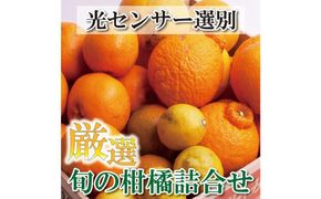 ＜1月より発送＞厳選 柑橘詰合せ5kg+150g（傷み補償分）【有田の春みかん詰め合わせ・フルーツ詰め合せ・オレンジつめあわせ】【光センサー選別】 303446_BB90025