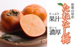 ［先行予約］厳選 たねなし柿 約2.5kg［刀根早生・平核無柿（ひらたねなしかき）］［カキ・種無柿・種無し柿・種なし柿・無核柿］［IKE95］ 303446_BB90033