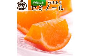 ＜4月より発送＞家庭用 セミノールオレンジ5kg+150g（傷み補償分）【有田の春みかん】【有田産】【光センサー食べ頃出荷】【わけあり・訳あり】 303446_BB90034