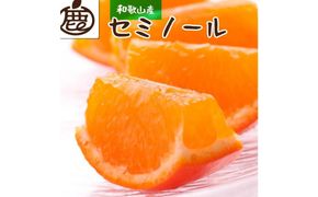 ＜4月より発送＞厳選 セミノールオレンジ5kg+150g（傷み補償分）【有田の春みかん】【有田産】【光センサー食べ頃出荷】 303446_BB90035