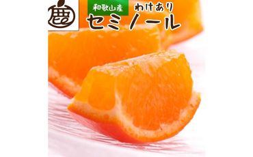 [4月より発送]家庭用 セミノールオレンジ4.5kg+135g(傷み補償分)[有田の春みかん][有田産][光センサー食べ頃出荷][わけあり・訳あり] 303446_BB90036