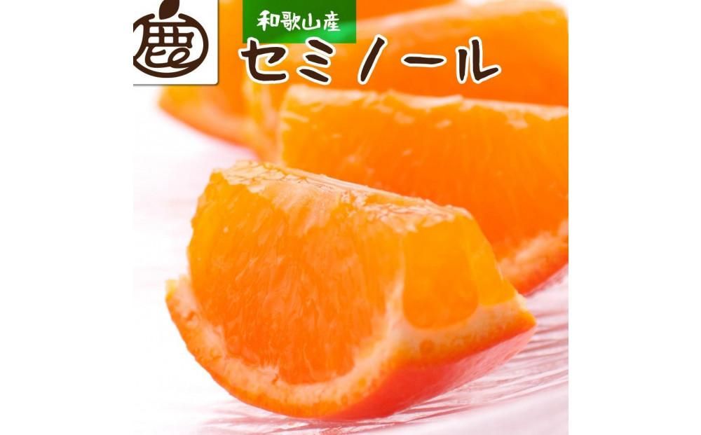 [4月より発送]厳選 セミノールオレンジ4kg+120g(傷み補償分)[有田の春みかん][有田産][光センサー食べ頃出荷] 303446_BB90037