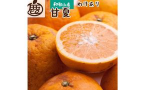 ＜4月より発送＞家庭用 甘夏柑8kg+240g（傷み補償分）【初夏のみかん・旬の果物】【有田産】【光センサー食べ頃出荷】【わけあり・訳あり】 303446_BB90039