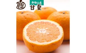 厳選 甘夏柑10kg+250g（傷み補償分）［初夏のみかん・旬の果物］［有田産］［光センサー食べ頃出荷］［IKE73］ 303446_BB90040