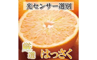 ＜4月より発送＞厳選 樹上完熟はっさく4kg+120g（傷み補償分）【八朔】【さつき・木成】 303446_BB90044