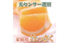 ＜4月より発送＞家庭用 樹上完熟はっさく5kg+150g（傷み補償分）【八朔】【わけあり・訳あり】【さつき・木成】 303446_BB90045