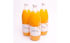 とろり みかんネクター 1000ml×3本 303446_BB90051