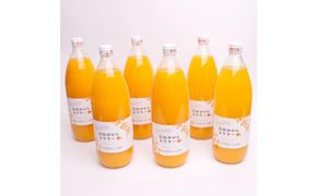 とろり みかんネクター 1000ml×6本 303446_BB90053