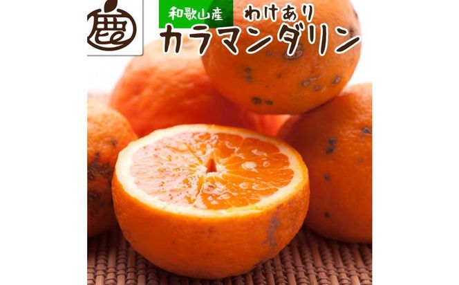 ＜4月より発送＞家庭用 カラマンダリン5kg+150g（傷み補償分）【南津海・なつみ】【訳あり・わけあり】【希少な春柑橘】【みかんと同じように食べられます】 303446_BB97358