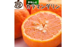 ［先行予約］厳選 カラマンダリン5kg+250g（傷み補償分）［南津海・なつみ］［希少な春柑橘］［みかんと同じように食べられます］［IKE67］ 303446_BB97359