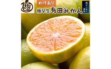 [9月より発送]家庭用 極早生有田みかん5kg+150g(傷み補償分)[YN26・ゆら早生][わけあり・訳あり] 303446_BB90158