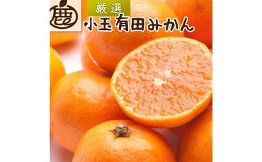 [11月より発送]厳選 小玉な有田みかん5kg+150g(傷み補償分)[光センサー選果] 303446_BB90163