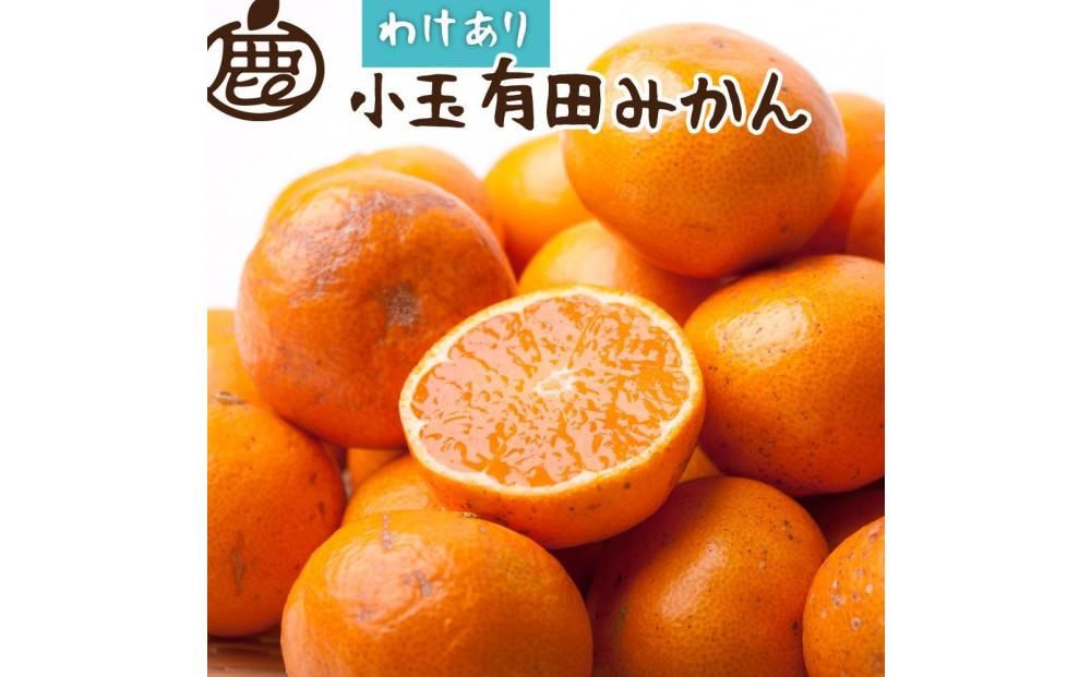 [11月より発送]家庭用 小玉な有田みかん5kg+150g(傷み補償分)[わけあり・訳あり][光センサー選果] 303446_BB90164