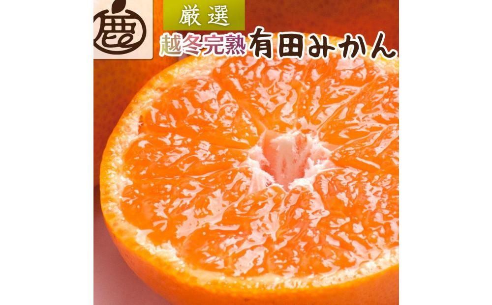 [1月より発送]厳選 越冬完熟みかん5kg+150g(傷み補償分)[ハウスみかん][光センサー選果] 303446_BB90168