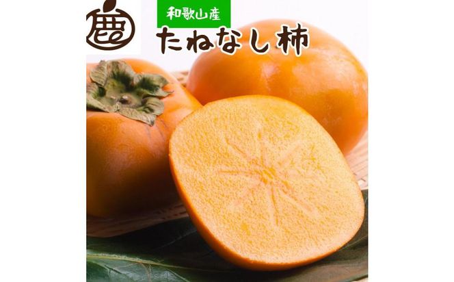 ［先行予約］厳選 たねなし柿 約10kg［刀根早生・平核無柿（ひらたねなしかき）］[カキ・種無柿・種無し柿・種なし柿・無核柿］［IKE96］ 303446_BB90172