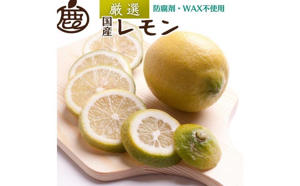 レモン5kg+250g(傷み補償分)[和歌山有田産][防腐剤・WAX不使用、安心の国産レモン][IKE129] 303446_BB90173