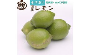 家庭用 レモン5kg+250g（傷み補償分）【和歌山有田産】【防腐剤・WAX不使用、安心の国産レモン】【わけあり・訳ありレモン】［IKE126］ 303446_BB90174