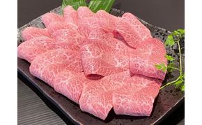 和歌山県産 黒毛和牛「熊野牛」 特選ミスジ(希少部位)焼肉用 400g 4等級以上【MG43】 303446_AB256