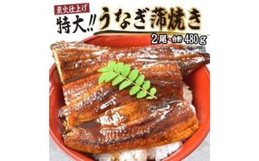 うなぎ蒲焼き2尾入り 480g（蒲焼たれ4袋 山椒付き）【KS5】 303446_BA1014