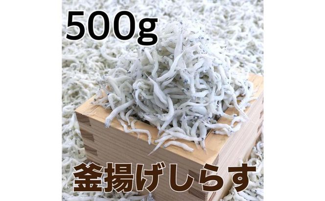 釜揚げしらす500g 【DN1】 303446_BC13