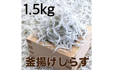 釜揚げしらす1.5kg【DN3】 303446_BC15