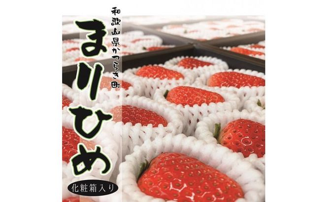 ya̎R쒬zIy܂Ђ߁z2026N1{3{܂ŔyKF8z 303446_BE90007