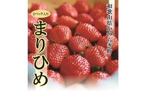 特選☆いちご【まりひめ】1月中旬から5月上旬まで発送【KF9】 303446_BE90008