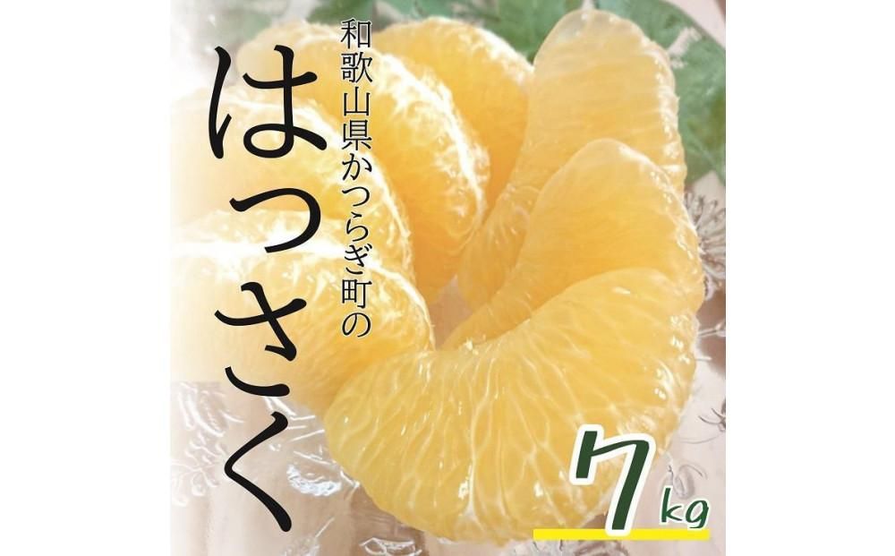 [訳あり] 八朔 約7kg [2月上旬から3月上旬頃発送][KF1] 303446_BE90014