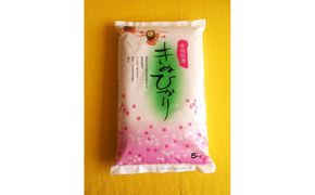 ［先行受付］和歌山県産キヌヒカリ 5kg（2025年産）［SL27］ 303446_CG90019