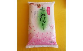 和歌山県産 米 キヌヒカリ 10kg  (2025年産)［SL28］ 303446_CG90020