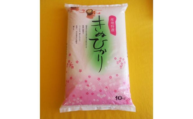 和歌山県産 米 キヌヒカリ 10kg  (2025年産)［SL28］ 303446_CG90020