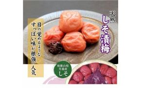紀州南高梅 しそ漬梅 850g×1箱 ［Kn4］ 303446_CQ004