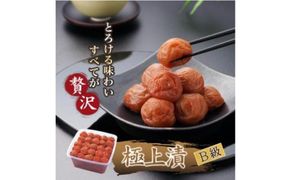 紀州南高梅 徳用 紀州極上漬 1.5kg×1箱 ［Kn6］ 303446_CQ006