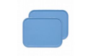 カラフルピノトレー L 39cm ブルー 2枚組 タツクラフト 【Tk67】 303446_DA90032